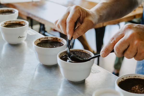 cupping del caffè specialty: si tratta dell'assaggio, la degustazione